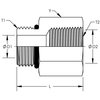 World Wide Fittings Male O-Ring Boss to Female Pipe Straight Adapter 3269X06X04